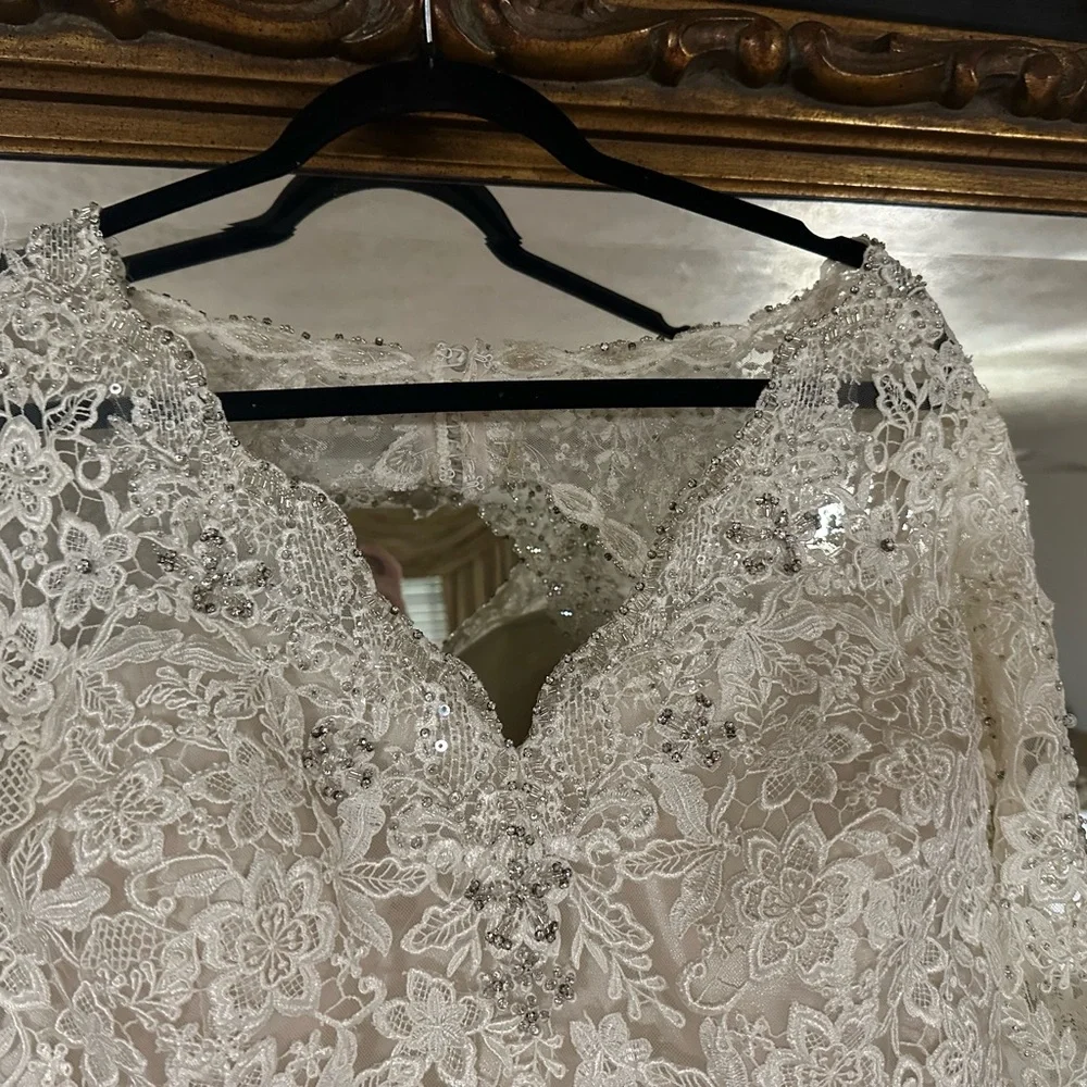 Elegant Lace Wedding Dress - Picture 5 of 10